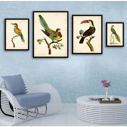 Fashion Canvas Animal Painting Nordic Print Toucan Parrot Pictures Colorful Toco Bird Sparrow Poster Wall Art Bedroom Home Decor