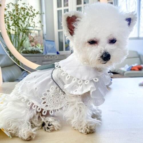 Dog Princess Dress Turndown Collar Bow-knot Decor Polyester Two-legged Pet Skirt for Party