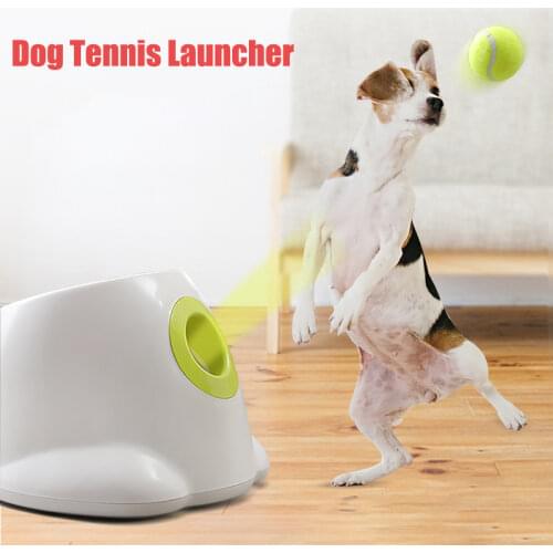 Тренажеры для собак XMSJ China At AliExpress