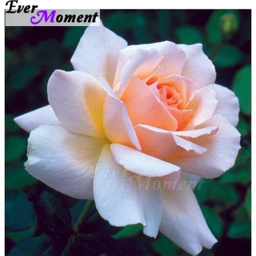 Ever Moment Diamond Painting Locus Full Square Drill Mosaic Cross Stitch Handmade Diamond Embroidery Decoration Home ASF1396