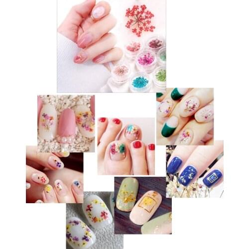 Manicure Dry Flower Spiraea Small Plum Blossom Narcissus Embossing And Dripping Glue Mobile Phone Case DIY Natural Flower