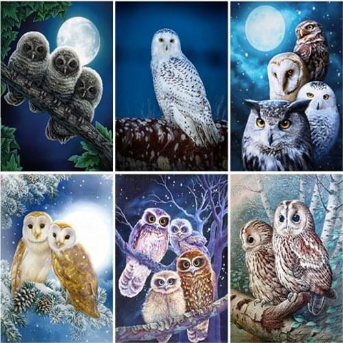 DIY Night Owl 5D Diamond Painting Full Round & Square Rhinestone Mosaic Cartoon Diamond Embroidery Cross Stitch Wall Art Decor