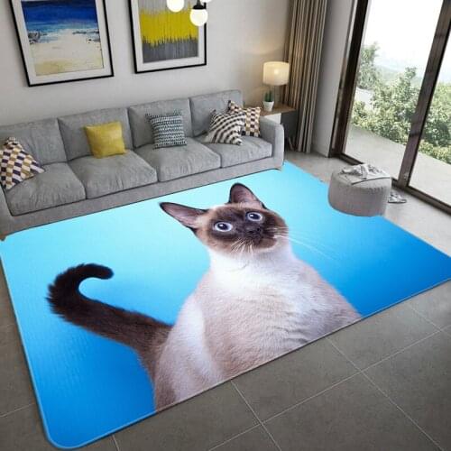 Bedroom carpet floor mats animal cartoon carpet door mats bathroom absorbent non-slip foot mats Wholesale