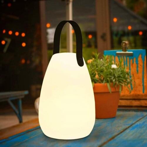Outdoor Indoor Waterproof Light Up Portable LED Decorative Table Garden Lamps Events Camping Mood Lights with Remote Control