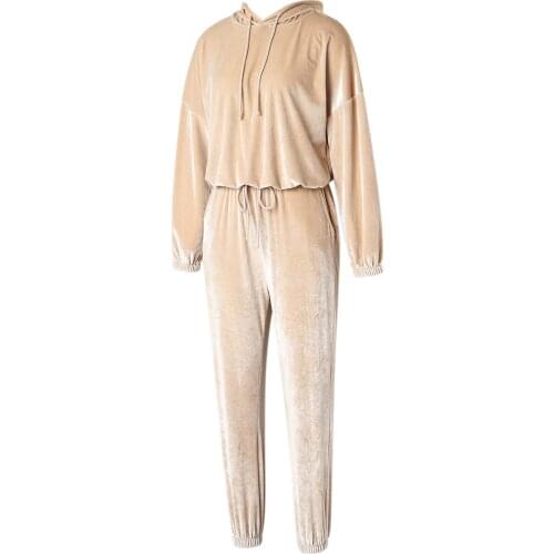 Women Tracksuits Hooded Sweatshirts Autumn Winter Velvet Oversize Hoodies Solid Jackets Two Piece Female Fashion Sets 2021New