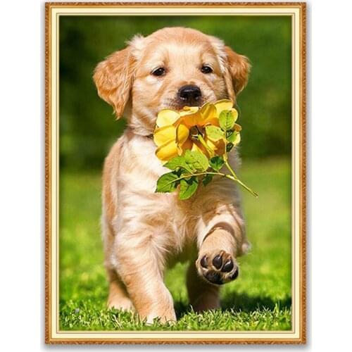 Animal Golden Retriever DIY Embroidery Cross Stitch 11CT Kits Needlework Craft Set Printed Canvas Cotton Thread Home Decoration