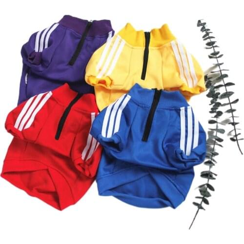 Designer Dog Clothes Small Medium-sized Chihuahua French Bulldog Sweatshirt Clothes Autumn Winter Fashion Zipper Pullover Jacket