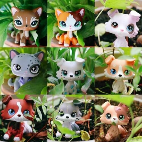 Pet shop Cute Collie dogs mini Short hair cats Action Figure children play toy best gift