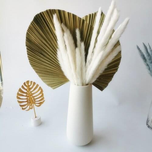 1pc Dried Natural Plant Palm leaves,DIY Dry Flowers Palm Fan Leaf For Party Art Wall Hanging Wedding Decoration Accessories