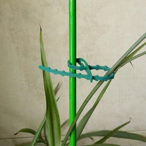 30/50/100Pcs Reusable Garden Cable Ties Plant Support Shrubs Fastener Tree Locking Nylon Adjustable Plastic Cable Ties Tools