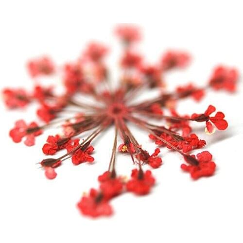 3D Dried Flowers Nail Art Decorations 3D DIY Natural Leaf Nail Jewelry UV Gel Polish nail salon decor Nails Accessories