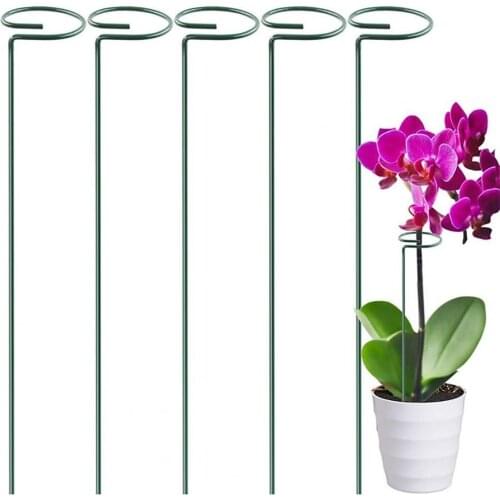 Metal 1 Set Attractive Metal Effective Plant Support Ring Solid Color Flower Support Ring Anti-cracking for Gifts