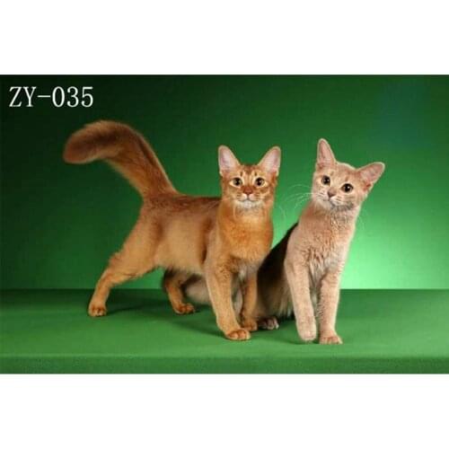 DAWNKNOW Pet Cat Photography Background Backdrop Green Uniquely Oil Painting Pro Tie-Dyed Muslin Shoot Photo Studio Props 2x3M