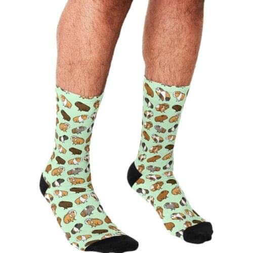 Funny Mens socks Guinea Pig Procession Green pattern Printed hip hop Men Happy Socks cute boys street style Crazy Socks for men