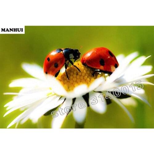 Diy Diamond Painting Cross Stitch Diamond Mosaic 5D Sets Full Diamond Embroidery Handmade Needlework Ladybug flowers BEC163