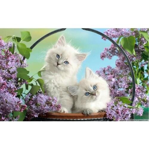 Diy craft Diamond Embroidery Square drill mosaic Rhinestones picture Diy Diamond Painting Kit Animal series Flower and cat 22