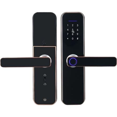 Bluetooth Electronic Door Lock with TT LOCK App Remotely Biometric Fingerprint Security Intelligent Password Door Lock