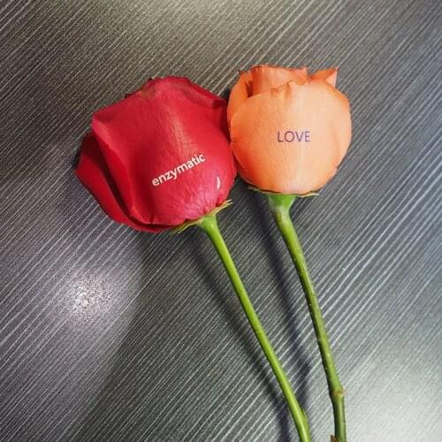 Small size A3 size LED UV Printer Rose Printer For printing Flowers