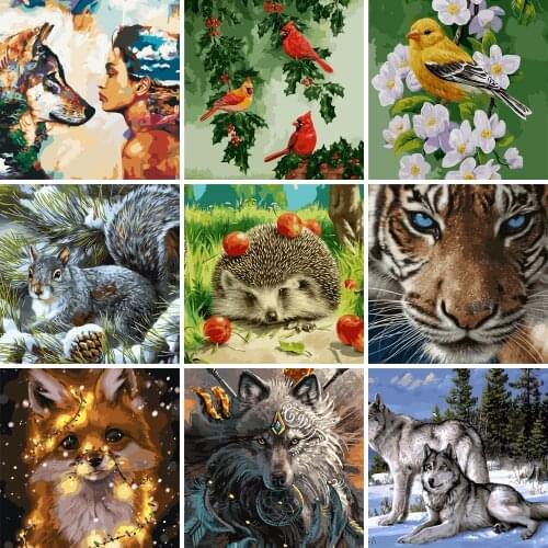 Bird Paintings By Numbers Kit Frameless Painting On Canvas 19.7x15.7inch 24 Colors DIY Gift Diff:3 Stars VA-0960