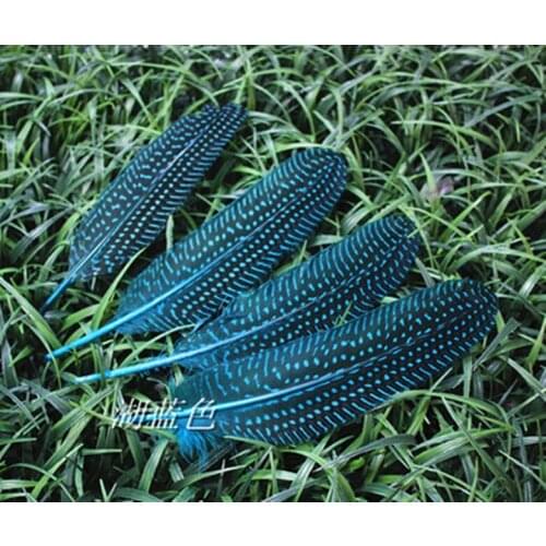 Wholesale 50pcs natural Lake blue guinea fowl feather 15-20cm / 6-8inch Decorative diy