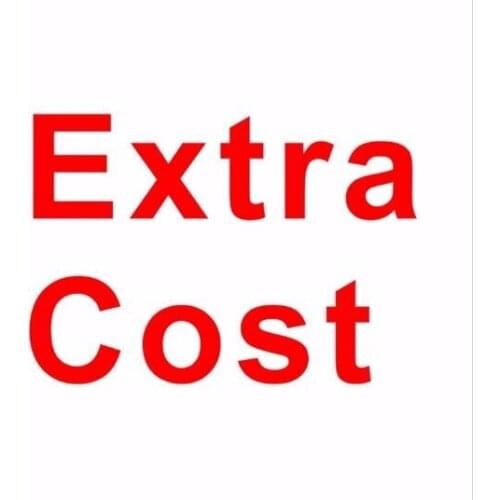 The Additional extra Cost For Shipping or custom dress