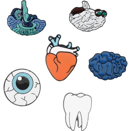 6 Style Human Organs Anatomical Enamel Brooches Brain Heart Eye Teeth Lapel Pins Badge Gift For Medical Students Doctor Nurse