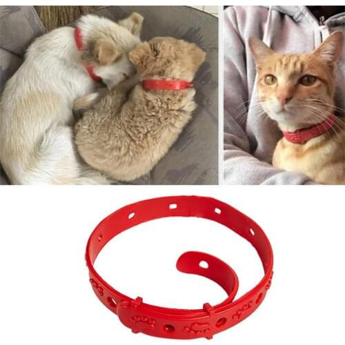 Hot Sale Cat Anti Flea Mite Tick Collar No Flea Grooming Tool Quadruple Remove Fleas Effect Kitten Remedy Neck Pet Supplies Cat