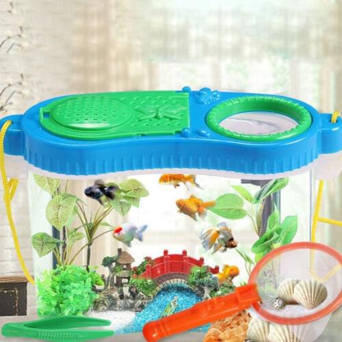 Early Childhood Education Experimental Research Plastic Tool Box Insect Feeding Observation Box Net Breeding Box Puzzle Toy Set