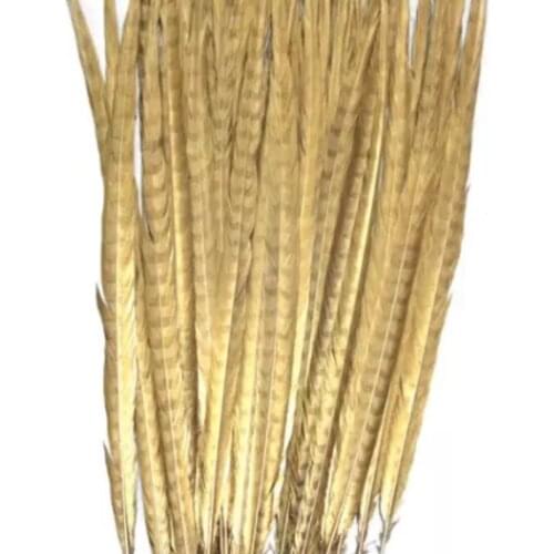 Free shipping manufacturers sale 200pcs 50-55cm 20-22inch gold colored ringneck feather tail lady amherst pheasant feathers