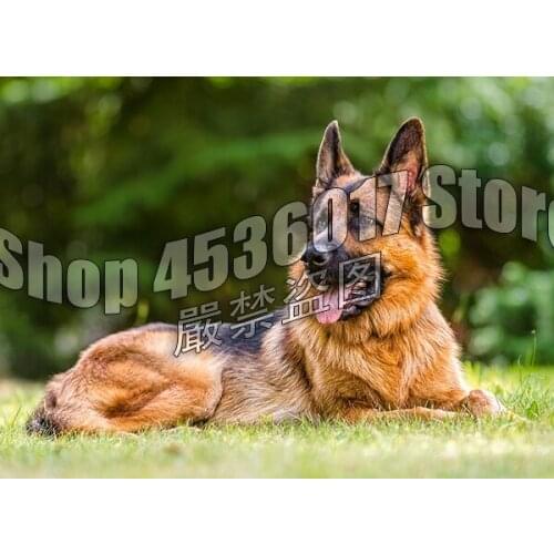 5d Diy Diamond Painting German-Shepherd Dogs Animals Cross Stitch Diamond Embroidery Mosaic Paintings Home Decor Children Gifts