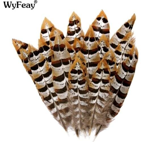 Reeves Venery Pheasant Tail Feathers for Needlework 5-15CM Small Feathers for Crafts DIY Jewelry Making Decoration Plumes Plumas