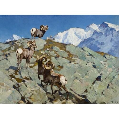 High quality Oil painting Canvas Reproductions Alarmed (Big Horn Rocky Mountain Sheep By carl rungius hand painted