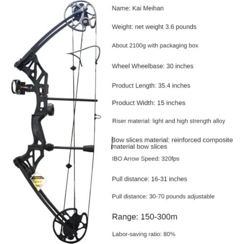 Beginner Bow And Arrow 30-70 Pounds Outdoor Composite Pulley Bow And Arrow Outdoor Archery Equipment Arrow Accessories