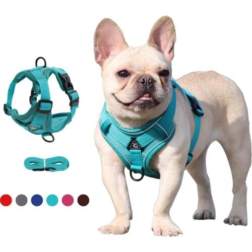Dog Harness And Leash No Pull Reflective，Fully Adjustable Pet Leash Vest for Small Medium Large Dog Breed