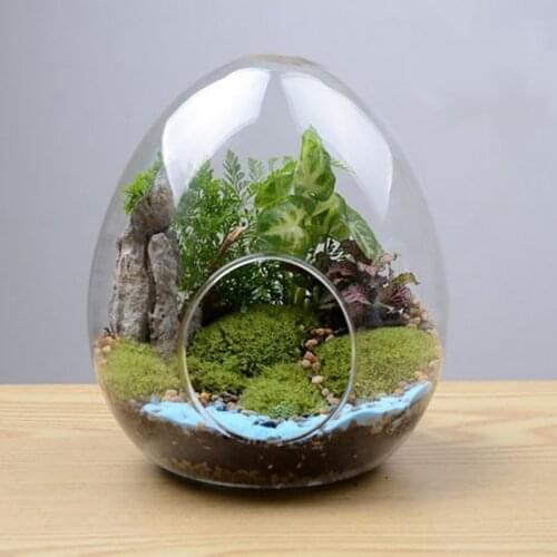 1PC Creative egg-shaped glass bottles Glass Vase Hydroponic Fleshy Micro Landscape Glass Bottle Moss Home Decoration