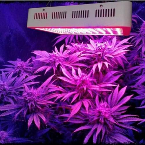 1000w Plant Growth Light full-spectrum Plant Growth Lamp Plant Fill Light Gardening Plant Lights JCX-1000W