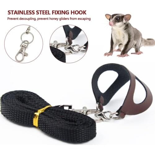 Hamster Chinchilla Mouse Rat Squirrel Harness Anti-knot Anti-biting Strap Split Traction Rope Small Pet Training Leash Outdoor