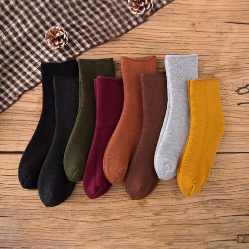 2020 Fashion New Style Winter Velvet and Thick Warm Sleep In Tube Socks Pure Cotton for Women