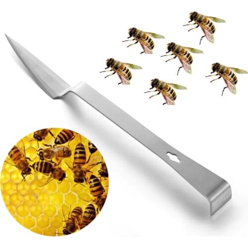 1PCS stainless steel beekeeping cut honey scraper uncapping fork knife apiculture equipement bee box beeing supplies accessories