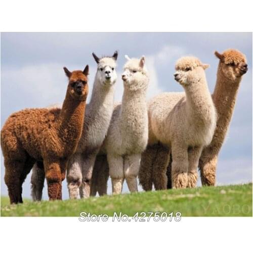 5D,diy,diamond painting,Australia Alpaca Cross Stitch Kits Handmade,3d,Diamond Embroidery Pattern Rhinestones painting YG690