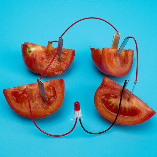 Supply Electricity Experiments Kids Children Student Learining Science Educational Toy Bio Energy Science Kit Potato Fruit