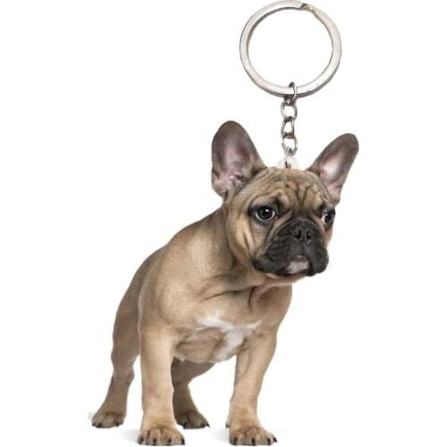 Funny Pug Dog Keychain New Pet Dogs Flat NOT 3D Small Keychains Animal Men Cute Charm Bag Drop Charms Gift Women Chain Miss Pets