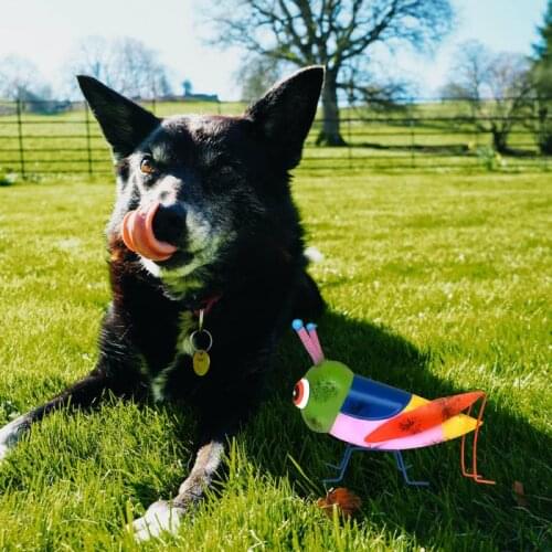 Metal Grasshopper Figurines Yard Art Garden Statues Praying Mantis Locust Statues Ornaments for Outdoor Patio Lawn Decorations