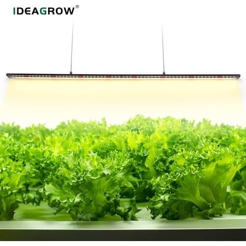 Indoor Grow Lights Full Spectrum Phyto Lamp for Plants 60W 480W 640W High Brightness Dimmable LED Grow Light Bars for Grow Tent
