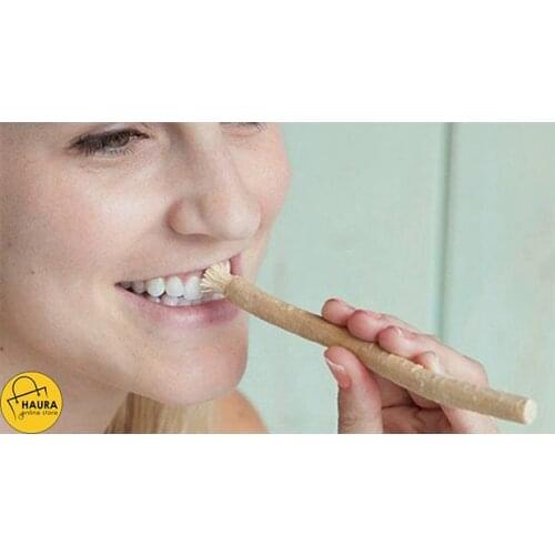 Special Product Fresh Miswak Vacuum Organic Toothbrush Soft Tooth Cleaning Wood Natural Toothpaste Whitening Dental Care