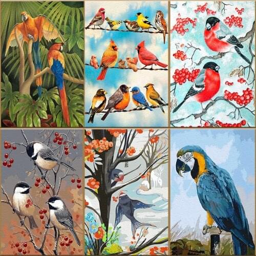 Colorful Bird DIY Painting By Numbers Parrot Sparrow Swallow Pictures Decorative Canvas Paintings Handmade Artwork New Year Gift