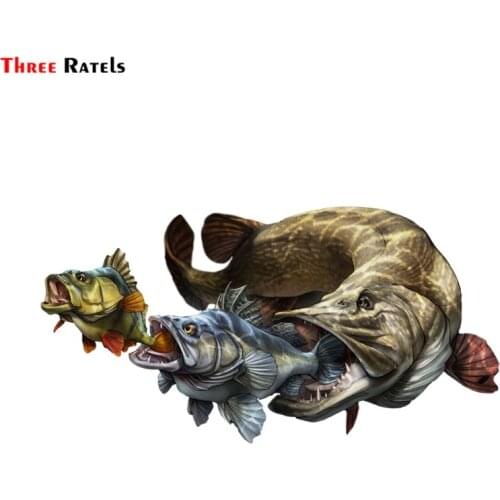 Three Ratels FC952 asome fish art car decoration sticker road bike decal