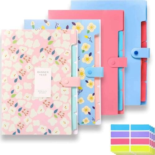 Expansion Folder, Plastic Accordion File Storage Bag, Snap Closure And Label Sticker, A4 / Letter Size