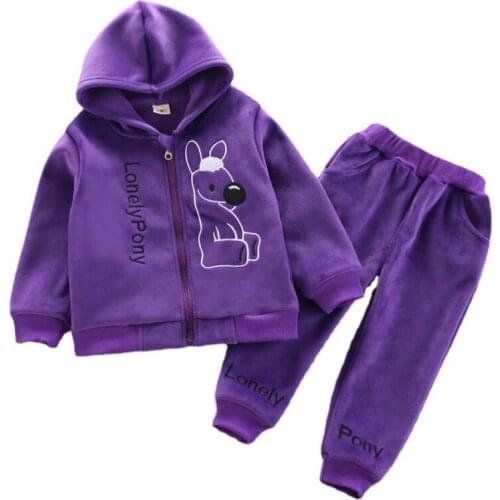 New Autumn Baby Girls Clothes Suit Children Fashion Hooded Jacket Pants 2Pcs/Sets Winter Toddler Hoodies Costume Kids Sportswear