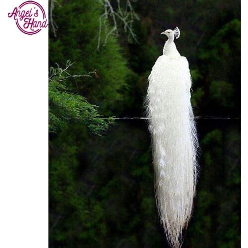 5D DIY Diamond Painting White Peacock Animal Crystal Diamond Painting Cross Stitch Landscape Forest Needlework Home Decor